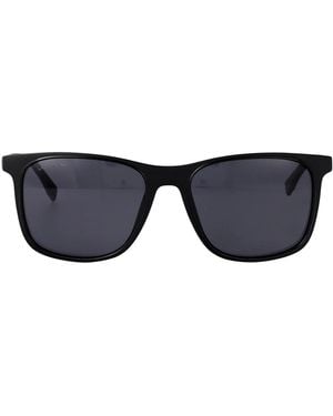 Lacoste Acetate Sunglasses - Blue