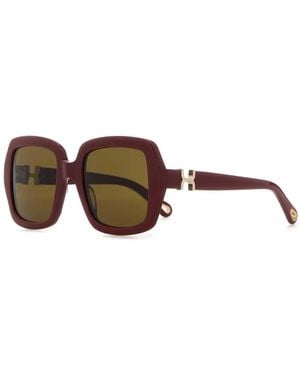 Chloé Acetate Sunglasses - Brown