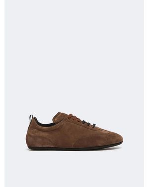 Max Mara Mxastecca Sneakers - Brown
