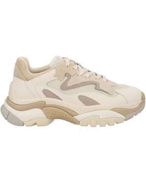 Ash Trainer Addict - Natural