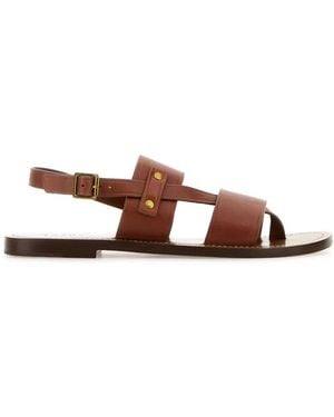 Soeur Amazonia - Brown