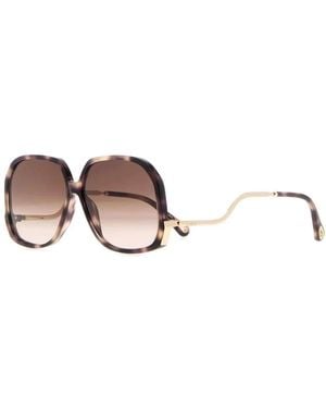 Chloé Acetate Sunglasses - Multicolor