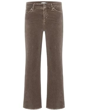 Cambio Cordhose Francesca - Braun