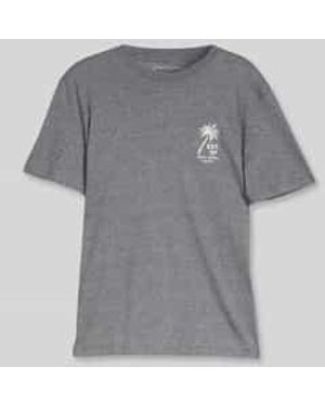 Tom Tailor Regular Fit T-Shirt Van Puur Katoen - Grijs