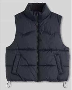 Levi's Bodywarmers - Blauw