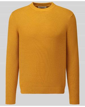 SELECTED Regular Fit Pullover aus reiner Baumwolle Modell 'DANE' - Gelb