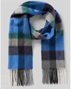 Ascot Sjaals - Blauw