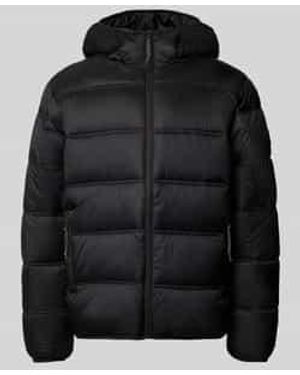 Tommy Hilfiger Gewatteerd Regular Fit Jack Met Capuchon - Zwart