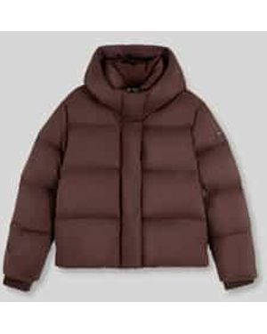 Tommy Hilfiger Donsjassen - Bruin