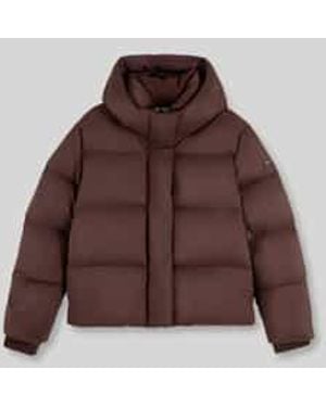 Tommy Hilfiger Puffer Jassen - Bruin