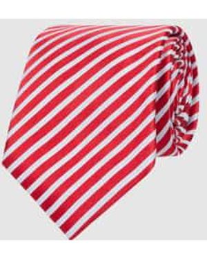 Willen Stropdassen - Roze