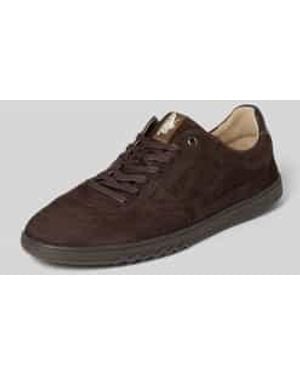Floris Van Bommel Sneakers Laag - Bruin