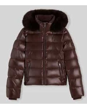 Tommy Hilfiger Puffer Jassen - Bruin