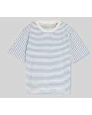 Tom Tailor Tom Tailor T-Shirts - Wit