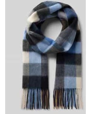 Ascot Sjaals - Blauw