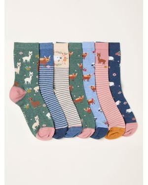 FatFace 7 Pack Socks - Blue