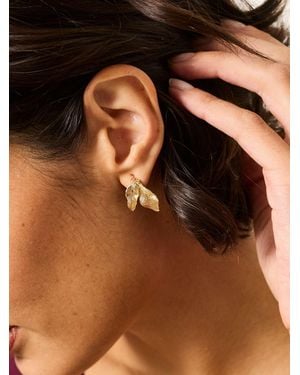 FatFace Leaf Party Studs - Brown