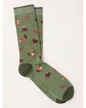 FatFace Fatface Beaver Socks - Green