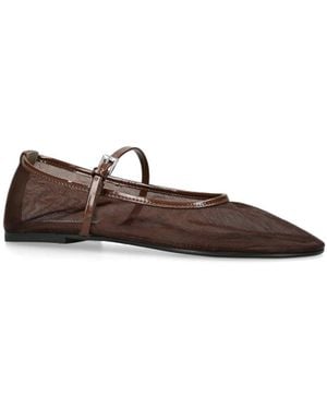 Steve Madden Ballerina Flats - Brown