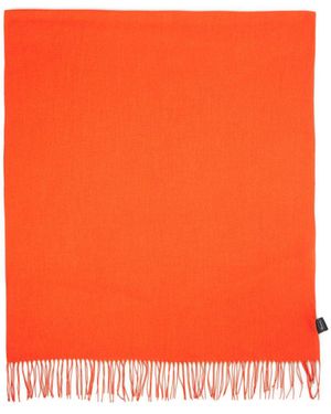 Platino Pashmina - Orange