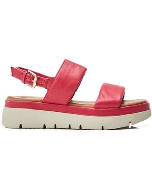 Moda In Pelle Moda - Pink