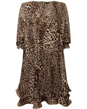 Brown James Lakeland Dresses for Women