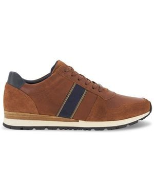 Dune Men's Wf Treck - Brown