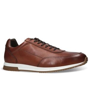 Loake Bannister Trainer - Brown