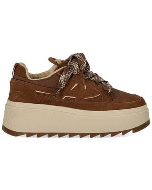 Ash Movie Suede Brauner Sneaker