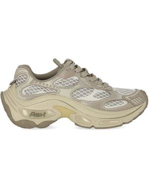 Ash Dragon Trainer - Grey
