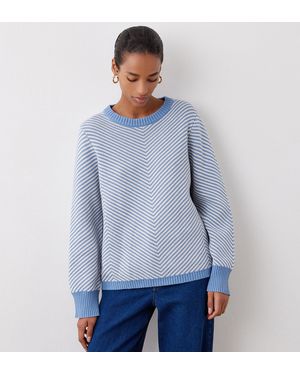 Finery London Stella Cotton Crew Neck Jumper - Blue