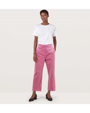 Finery London Alan Velvet Trousers - Pink