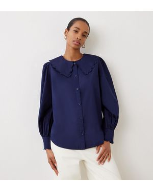 Finery London Amadine Cotton Shirt - Blue