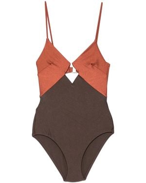 Zimmermann Aster Cut-out Swimsuit - Brown