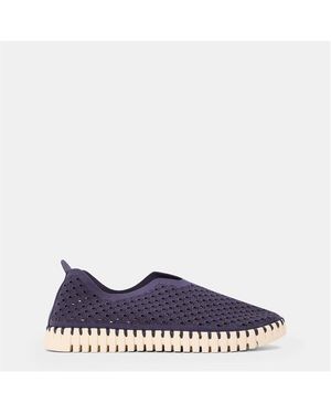 Ilse Jacobsen Tulip Shoe - Blue