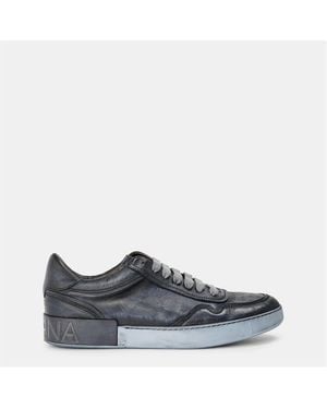 Dolce & Gabbana Dg Vintage Sneak Sn54 - Grey