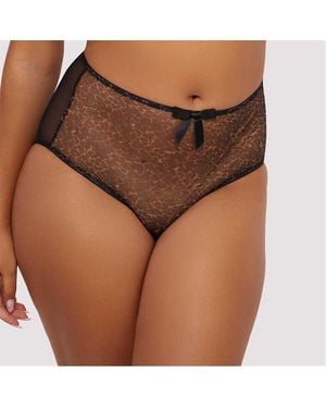 Playful Promises Hazel Classic High Waist Brief - Brown