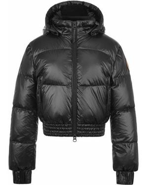 ARCTIC ARMY Yukon Cropped Hooded Funnel Neck Short Puffer Jacket - Black