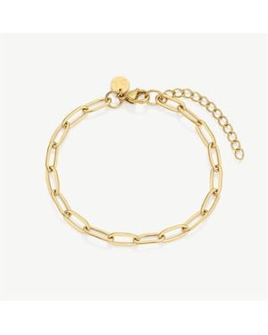 D.Louise Stainless Steel Lobster Claw Chain Bracelet - Metallic