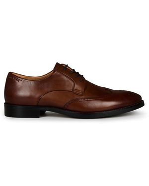 Ted Baker Hackney Brogues - Brown