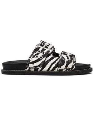 Steve Madden Agent Zebra Print Flat Sandals - Black
