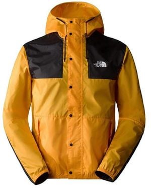 The North Face Seasonal Mountain Jacket - Metallic