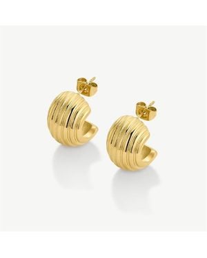 D.Louise Ribbed Dome Hoop Earrings - Metallic