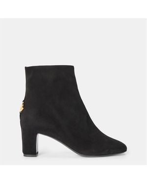 Dolce & Gabbana Dg Block Ankle Boot Ld54 - Black