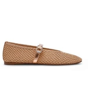 Steve Madden Ballet Court Shoes - Brown