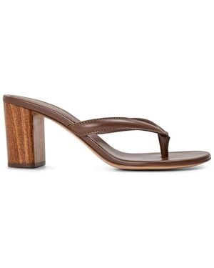 Gianvito Rossi Flipflop 70H Flip Flops - Brown