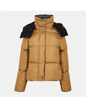 Moncler Castlnou Jkt Ld54 - Brown