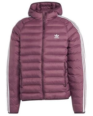 adidas Originals Pad Hooded - Purple