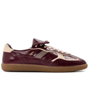 Alohas Tb.490 Club Low-Top Trainers - Brown