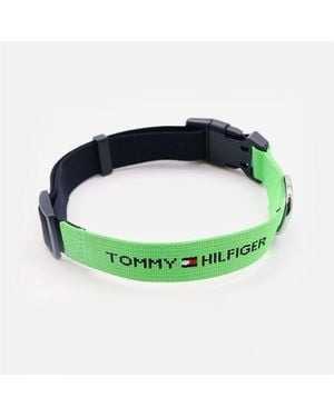 Kanine Tommy Hilfiger Dog Collar - Green